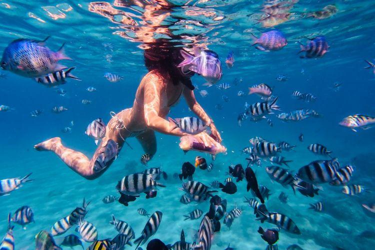 Tour Snorkeling to Hon Mun Coral Reef (6)