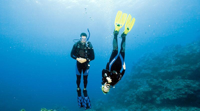 https://files.locallife.asia/images/800/1772615743625-perfect-buoyancy-diving-nha-trang.jpg