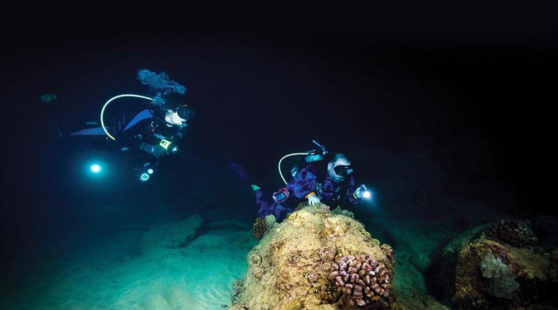 https://files.locallife.asia/images/800/1772616312275-night-diving-phu-quoc.jpg