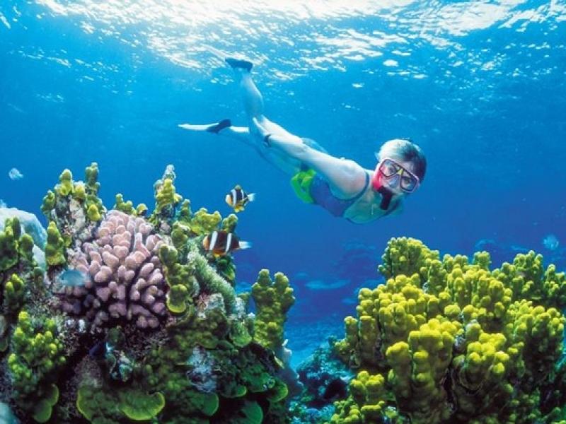 https://files.locallife.asia/images/800/1772617243275-tour-lan-ngam-san-ho-kham-pha-nam-dao-phu-quoc.jpg