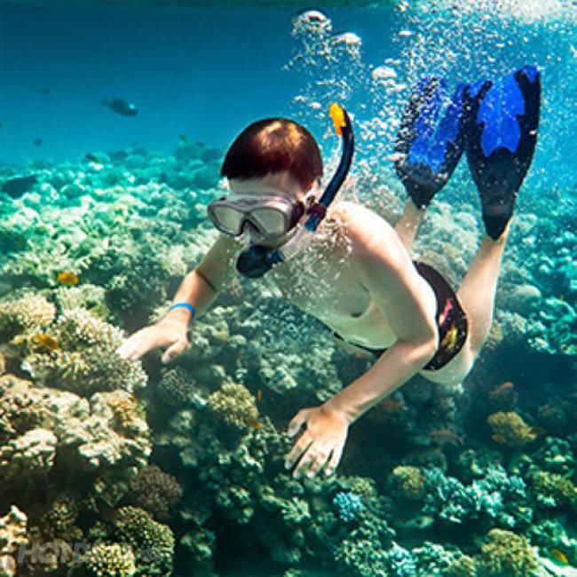 https://files.locallife.asia/images/800/1772617243280-321163-tour-lan-binh-khi-ngam-san-ho-nam-dao-phu-quoc-danh-cho-01-nguoi.jpg