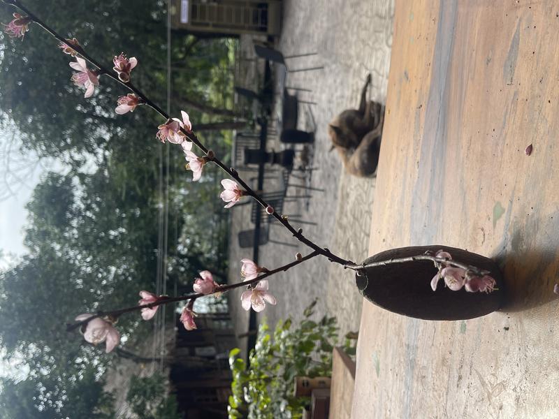 https://files.locallife.asia/images/800/1773201311076-IMG_3001.jpeg