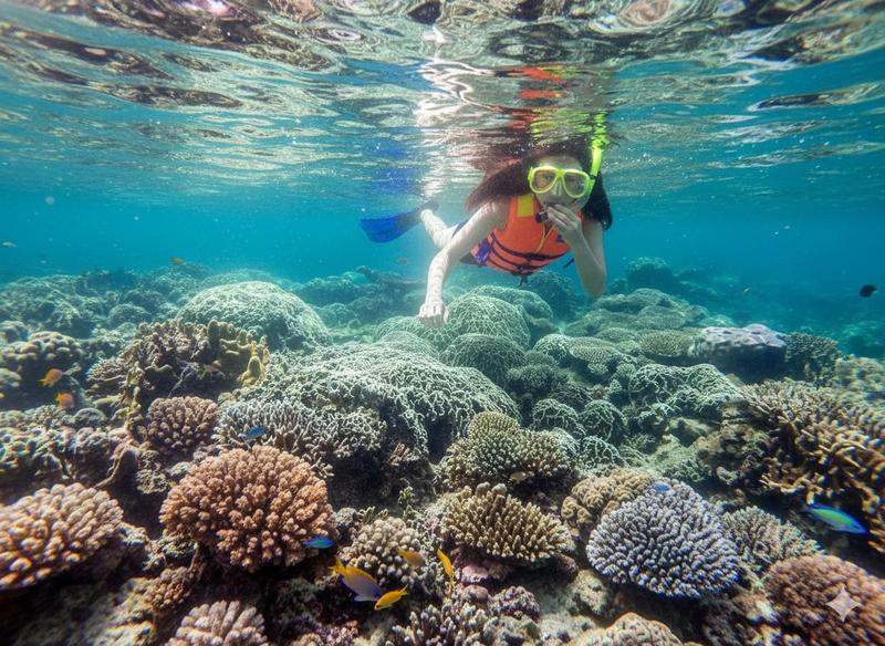 Son Tra Tour: Diving to See Coral - Sea Sports (2)