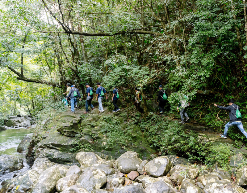 Trekking Sơn Trà | Thất đại cổ thụ - Hải đăng tiên sa (8)