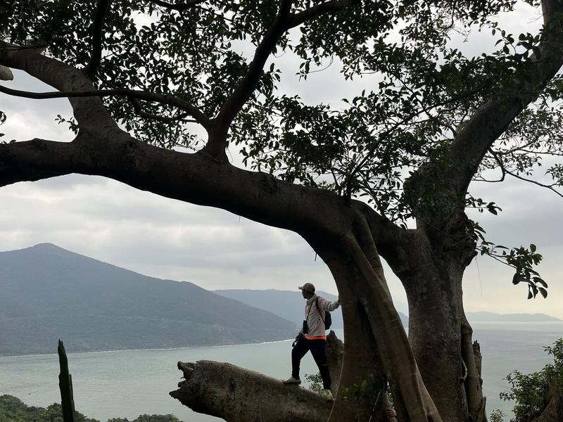 Trekking Sơn Trà | Thất đại cổ thụ - Hải đăng tiên sa (7)