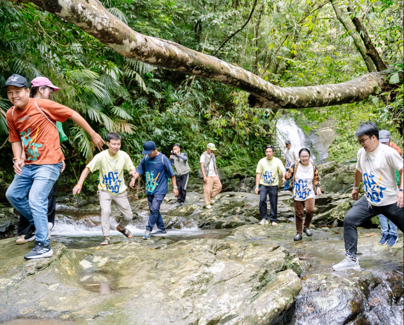 Trekking Sơn Trà | Thất đại cổ thụ - Hải đăng tiên sa (2)