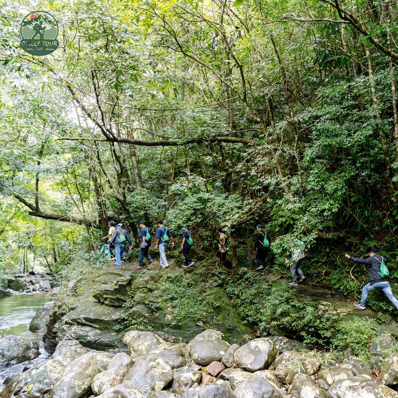 Trekking Sơn Trà | Rừng Dâu - Đỉnh bàn cờ (6)