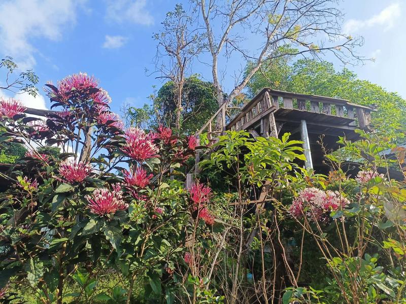 Homestay Mê Ly  (3)