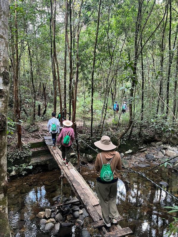 Bach Ma Trekking Tour - Full Day (8)