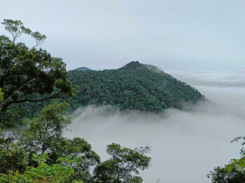 Bach Ma Trekking Tour - Full Day (5)