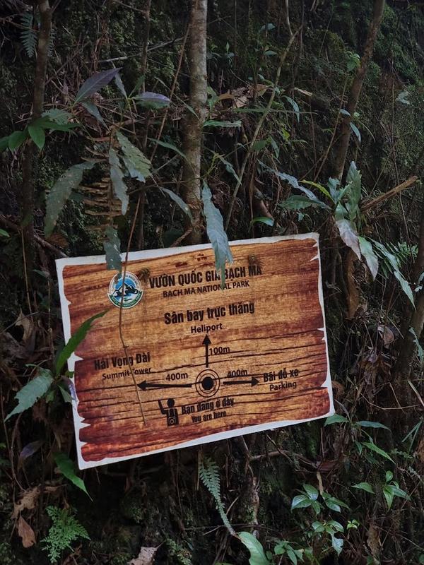 Bach Ma Trekking Tour - Full Day (7)