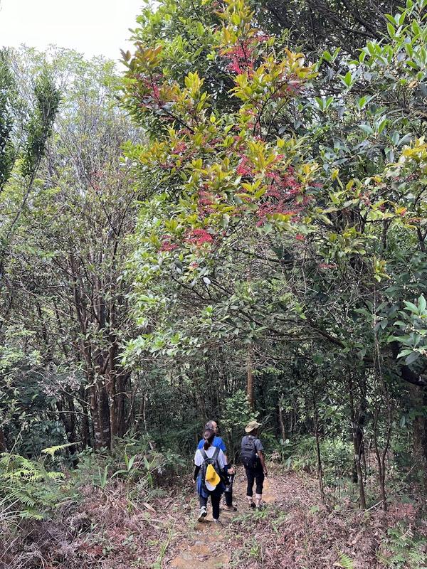 Bach Ma Trekking Tour - Full Day (9)
