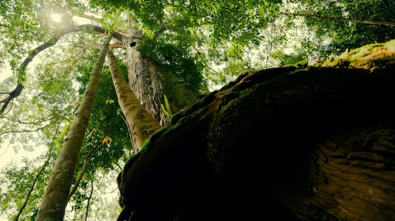 https://files.locallife.asia/images/800/1775804115011-Screenshot_57.png