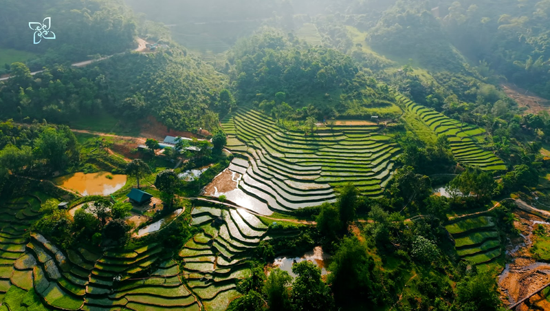 https://files.locallife.asia/images/800/1775804505291-Screenshot_62.png