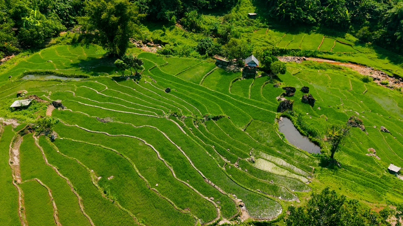 https://files.locallife.asia/images/800/1775804769789-Screenshot_70.png