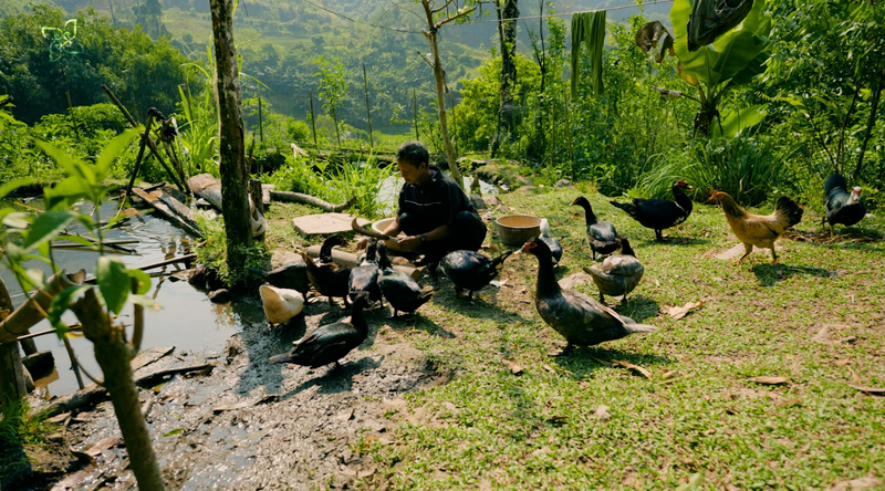 Going to the forest and working in the fields with the Co Tu people.