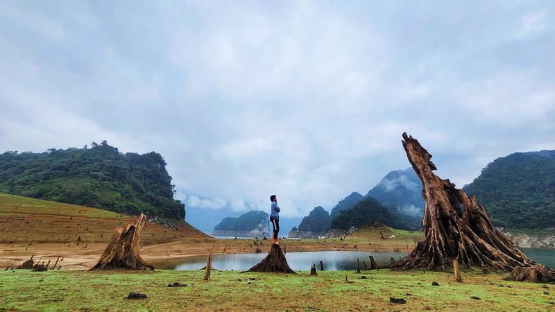 https://files.locallife.asia/images/800/1776327113023-lb6.jpg