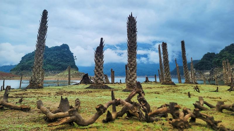 https://files.locallife.asia/images/800/1776327131416-lb7.jpg