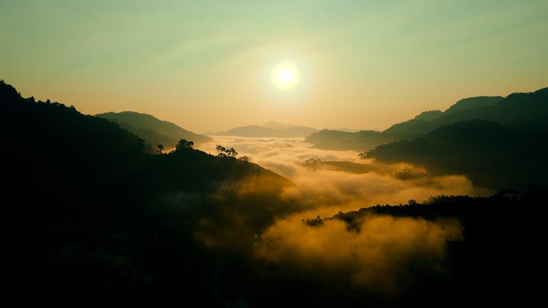https://files.locallife.asia/images/800/1776525762036-a5.jpg