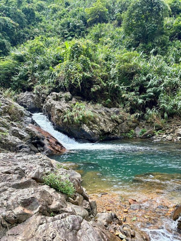 Tham quan Suối Khe Đào (Đà Nẵng)
