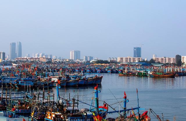Tho Quang Fishing Port (Da Nang) Experience