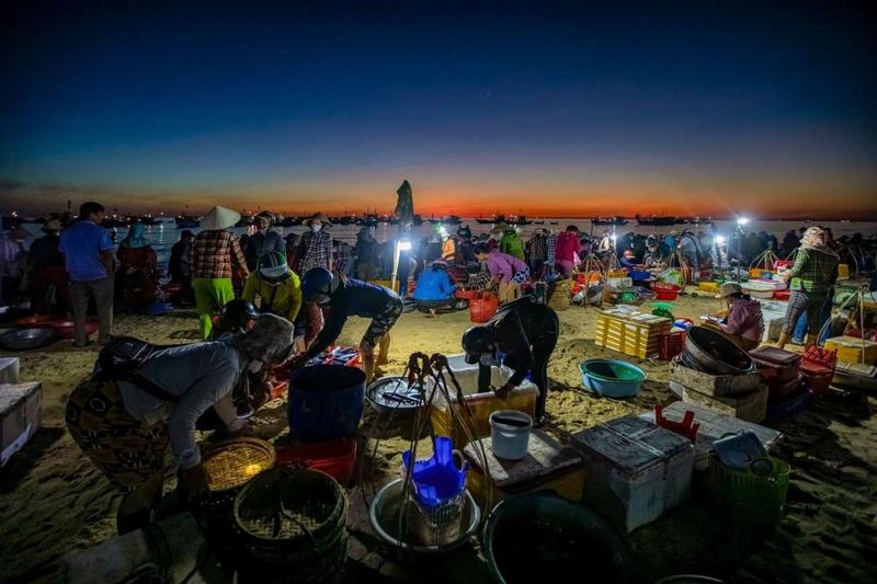 Tam Tien Fish Market (Tam Tien, Quang Nam) (3)