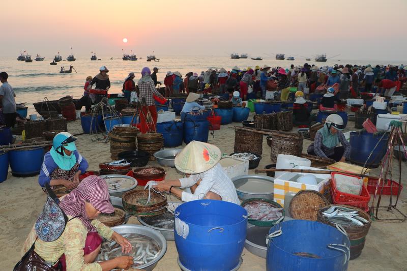 Tam Tien Fish Market (Tam Tien, Quang Nam) (4)