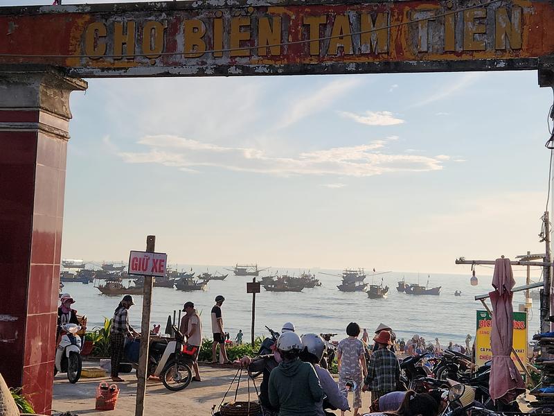 Tam Tien Fish Market (Tam Tien, Quang Nam) Experience