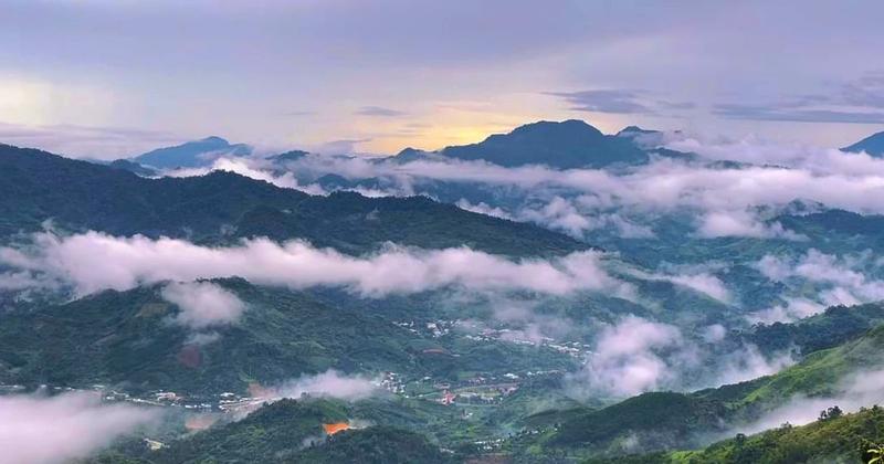 https://files.locallife.asia/images/800/1776867690140-z5862454162950_dcd9e1b9b9e9f8c1bb265228f9375fdc.jpg