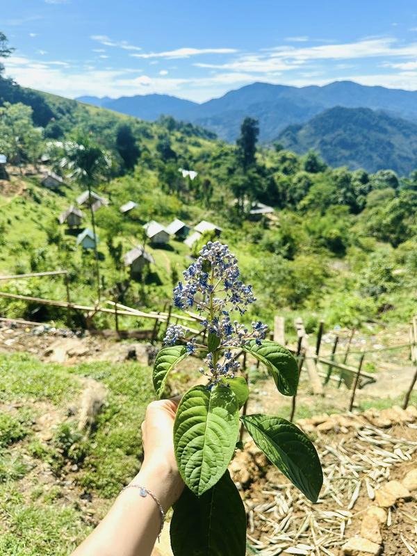 https://files.locallife.asia/images/800/1776943424179-502896802_684292917973815_1428079992490182790_n.jpg