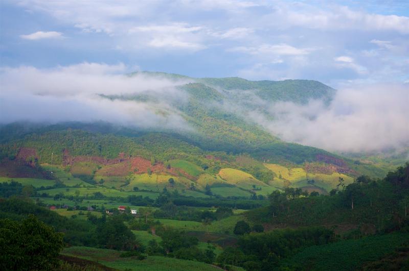Van Hoa Plateau (5)