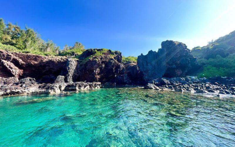 https://files.locallife.asia/images/800/1777025729111-tim-hieu-ve-hon-tranh.jpg