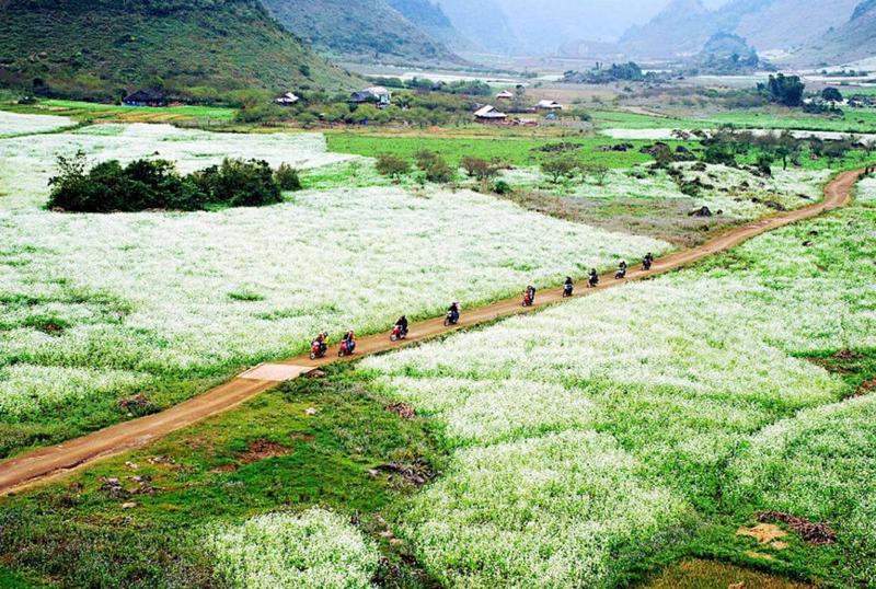 Bản Pa Phách Experience