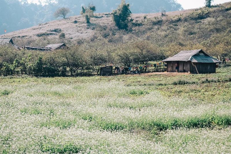 https://files.locallife.asia/images/800/1777104806883-tron-bo-kinh-nghiem-kham-pha-ban-pa-phach-tho-mong-1-1645505981.jpg