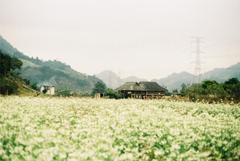 https://files.locallife.asia/images/800/1777104806887-tron-bo-kinh-nghiem-kham-pha-ban-pa-phach-tho-mong-3-1645505981.jpg