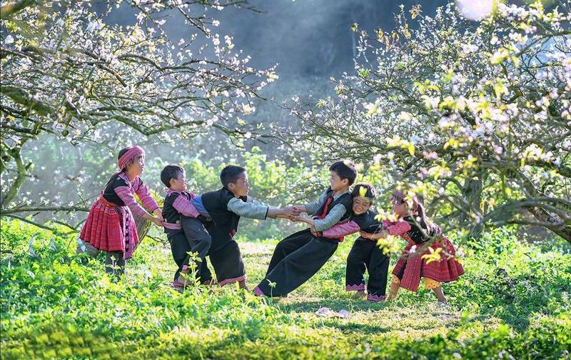 https://files.locallife.asia/images/800/1777104806914-e7917683-ban-pa-phach-1.jpg
