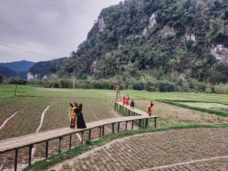 https://files.locallife.asia/images/800/1777105040654-cau-tinh-yeu-de-du-khach-chek-in-1649168552.jpg