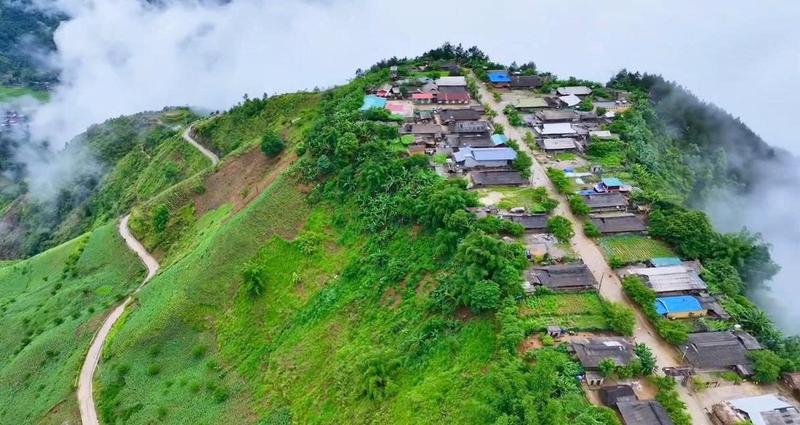 https://files.locallife.asia/images/800/1777105718396-ban-Cu-Vai-ivivu.jpg