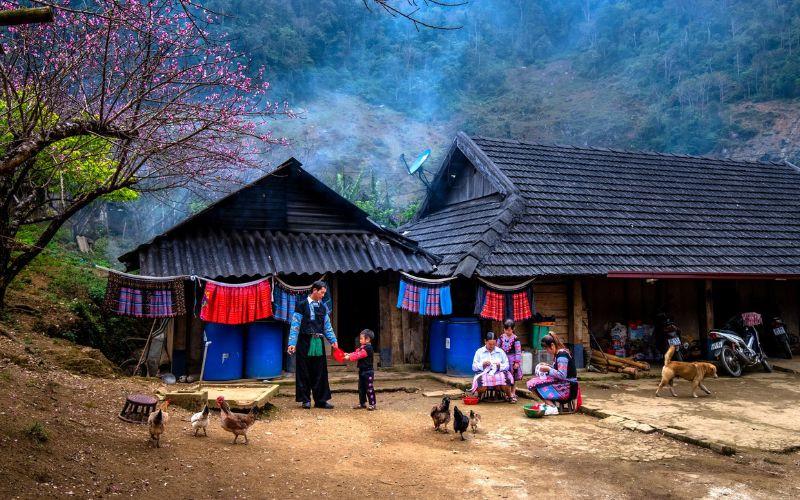 https://files.locallife.asia/images/800/1777105718401-cuoc-song-binh-di-cua-nguoi-dan.jpg
