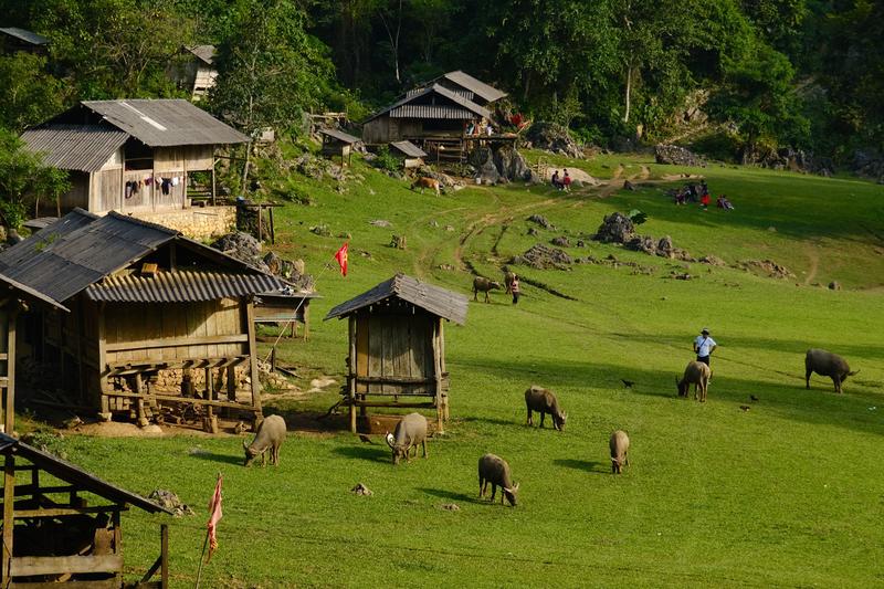 https://files.locallife.asia/images/800/1777119885372-hang-tau-ivivu1.jpg