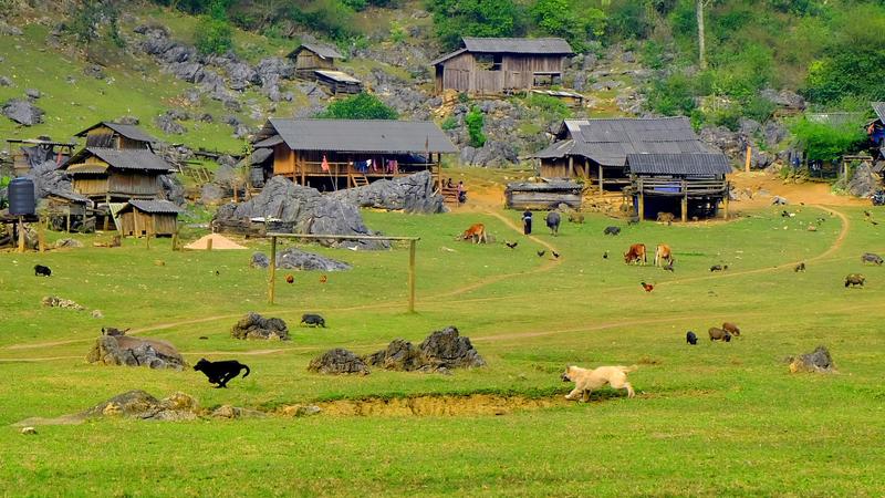 Hang Táu (Primitive Village) Experience