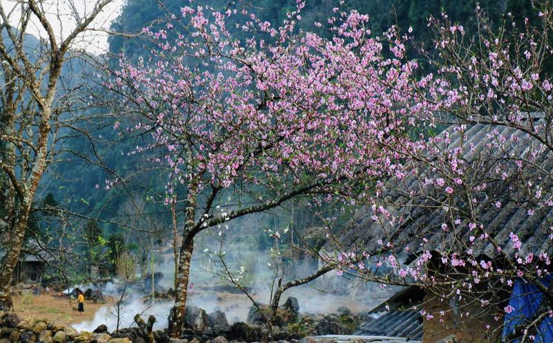 https://files.locallife.asia/images/800/1777123378386-lao-xa-ha-giang-7.jpg