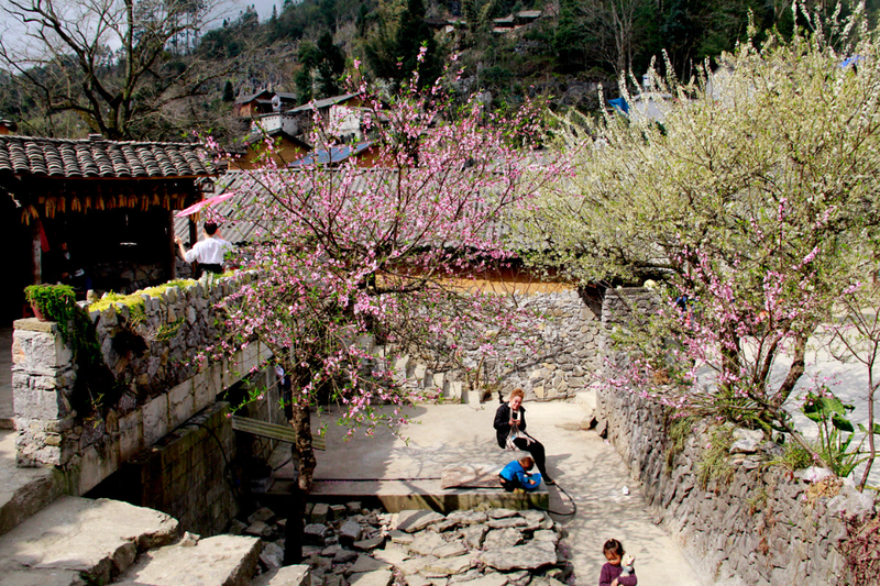 https://files.locallife.asia/images/800/1777123378404-du-lich-lao-xa-ha-giang-00.png