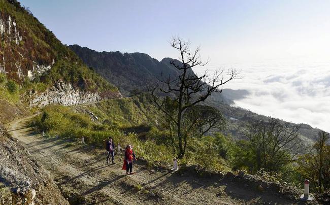 https://files.locallife.asia/images/800/1777123772089-chieulauthi1.jpg
