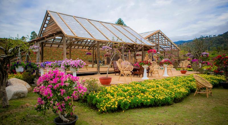 The Florest Hoa Trong Rừng (2)