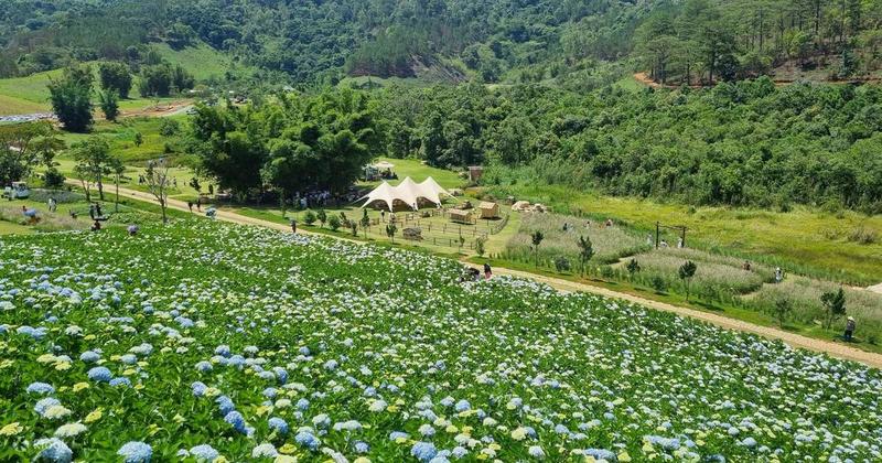 The Florest Hoa Trong Rừng (4)