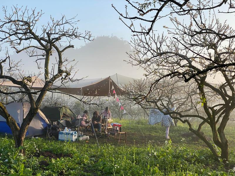 https://files.locallife.asia/images/800/1777254267170-11.jpg