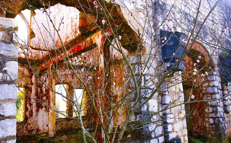 Ta Phin Ancient Monastery (4)