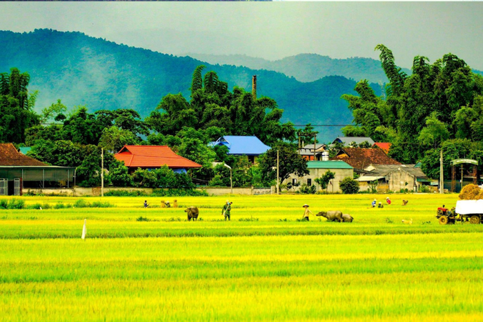 https://files.locallife.asia/images/800/1777255709661-yiqxqpjug91-4xj7zbzdfo2-j3e0z3rqih3.png
