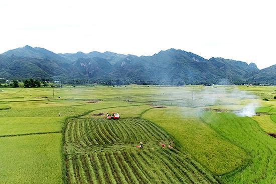 Cánh Đồng Mường Tấc Experience